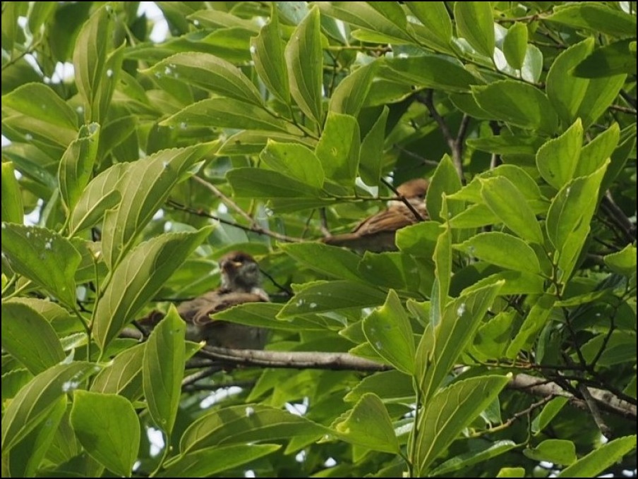 c0228386_01203290.jpg