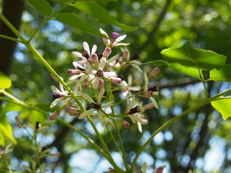 b0039898_16492622.jpg