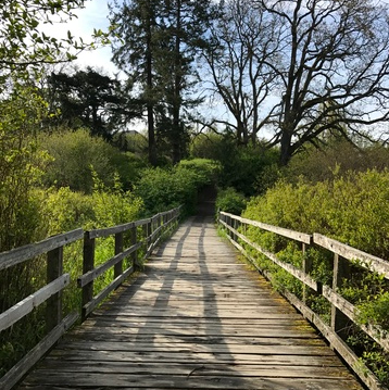 c0212604_5241810.png