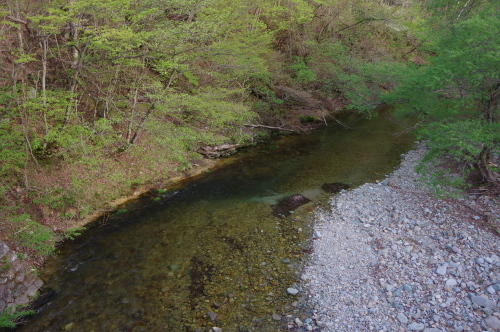 a0189506_20424580.jpg