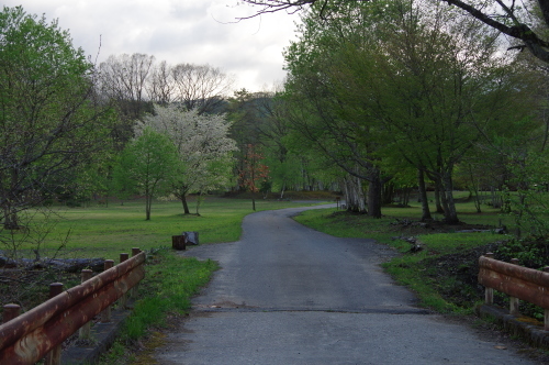 a0189506_20434327.jpg