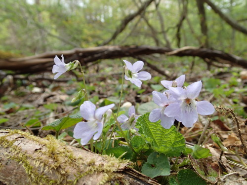 a0189506_20472199.jpg