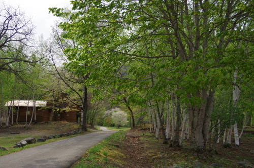 a0189506_22255530.jpg