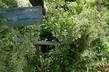 e0366207_17551801.jpg