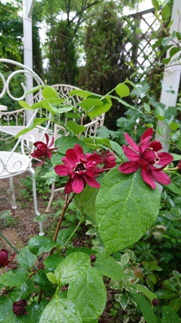 b0345108_06032687.jpg