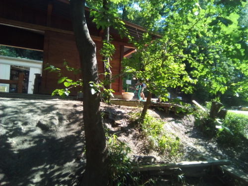 b0099910_18560810.jpg