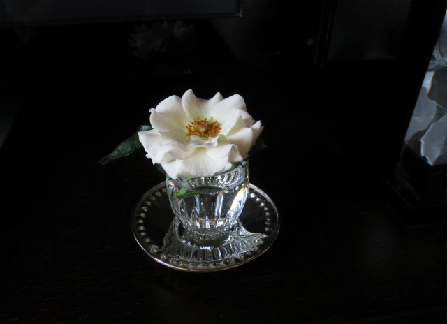 b0064411_08083754.jpg