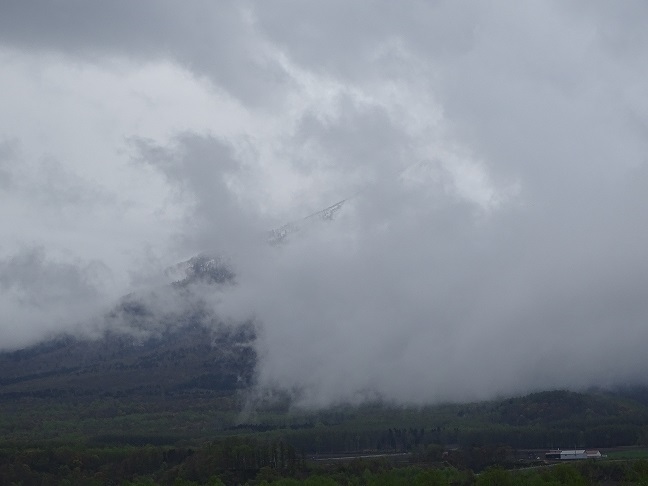 f0360815_15575665.jpg
