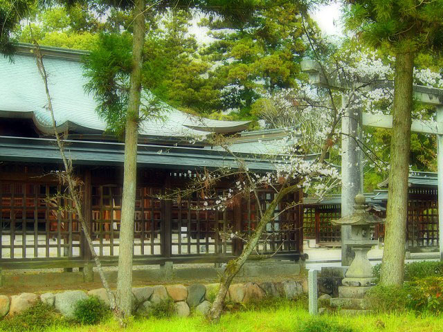 d0295818_01502396.jpg