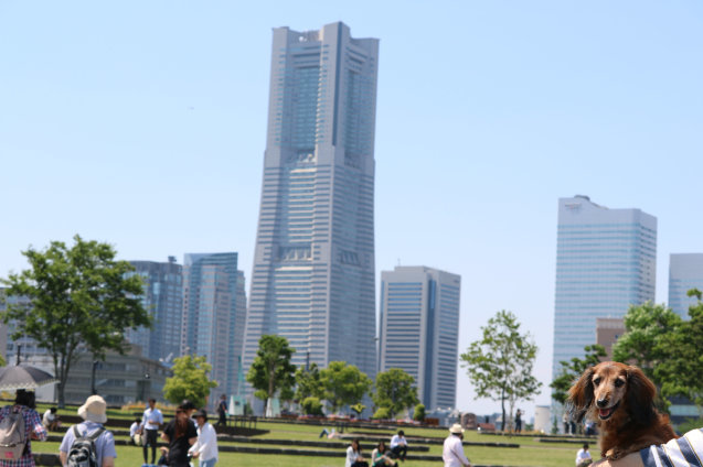 a0037322_17370001.jpg