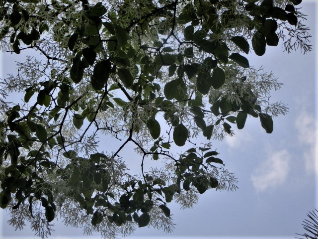 f0354923_22152209.jpg