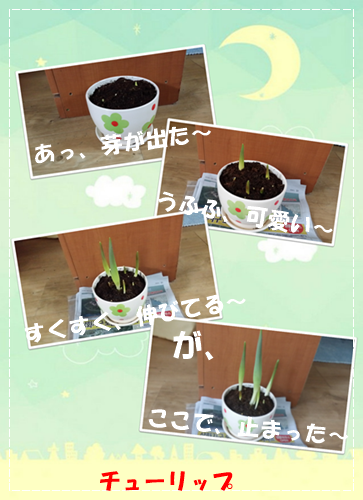 a0115924_16510302.png