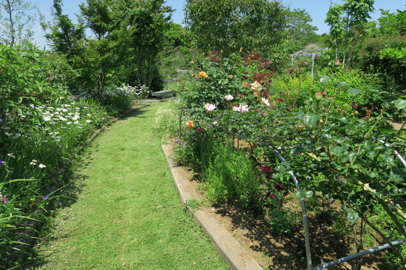 f0147025_18441215.jpg