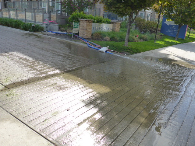 c0077835_02343131.jpg