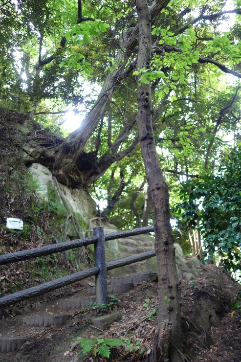a0287336_1821677.jpg