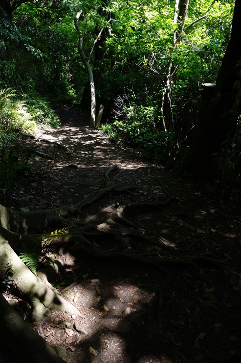 a0287336_18324821.jpg