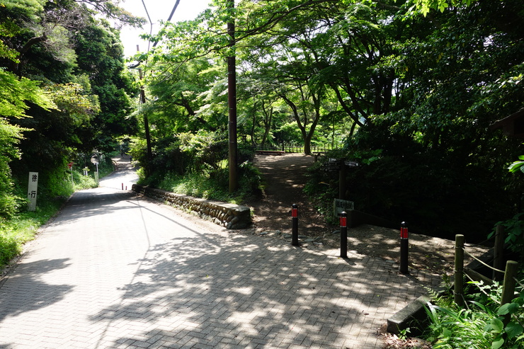 a0287336_18425049.jpg