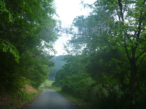 b0246036_14085432.jpg