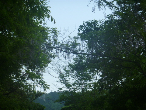 b0246036_14125936.jpg