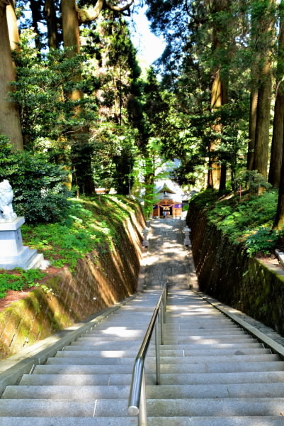 e0056537_09350030.jpg