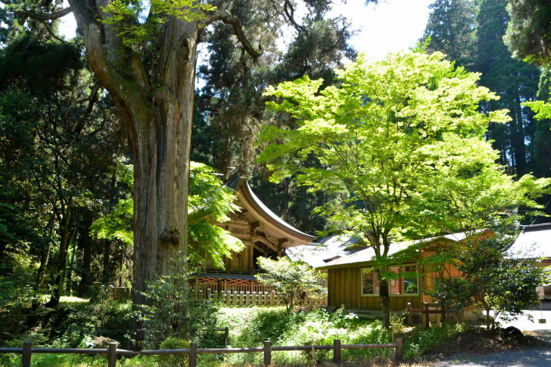 e0056537_09350603.jpg