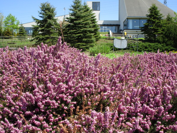 c0233141_15563792.jpg