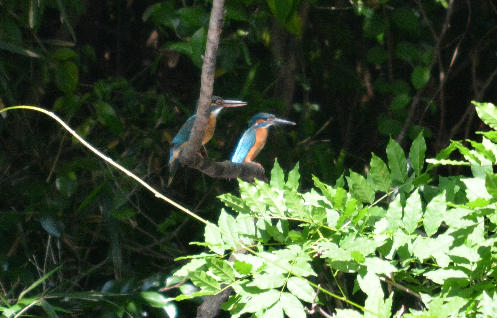d0354344_12032227.jpg