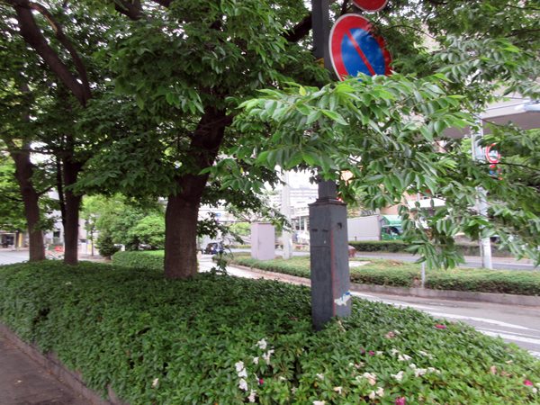 b0009849_16372831.jpg