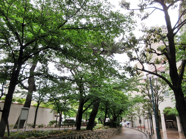 b0009849_164335.jpg