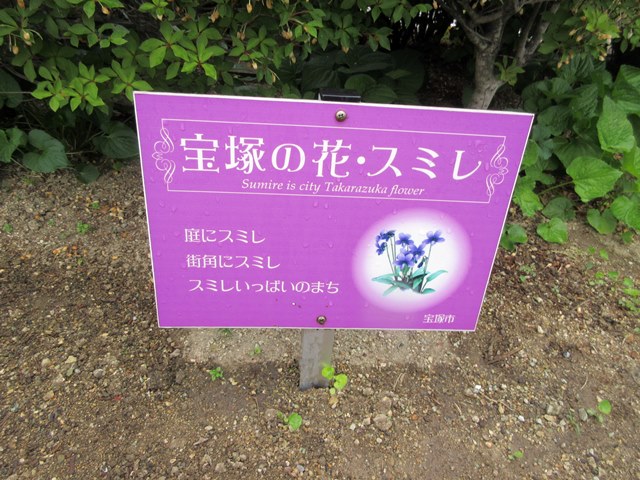 b0009849_1649143.jpg