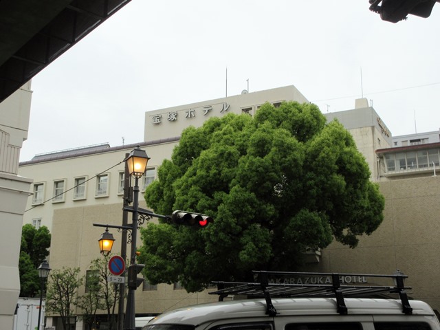 b0009849_1651416.jpg
