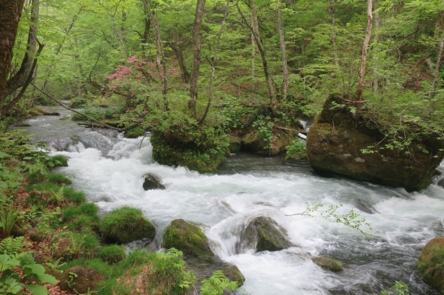 f0202151_20551112.jpg