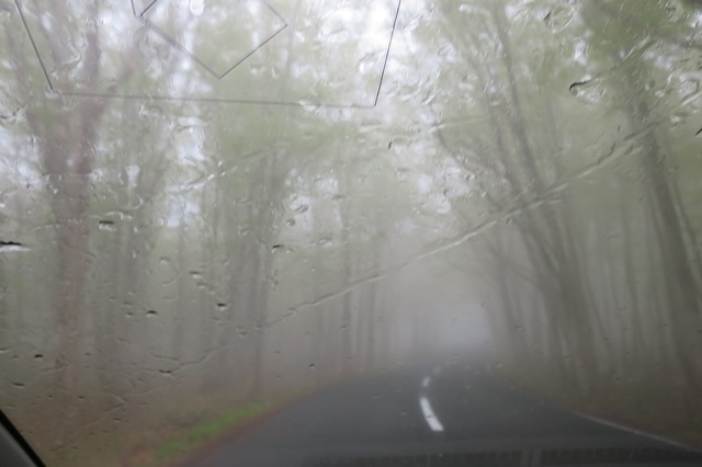 f0202151_21155380.jpg