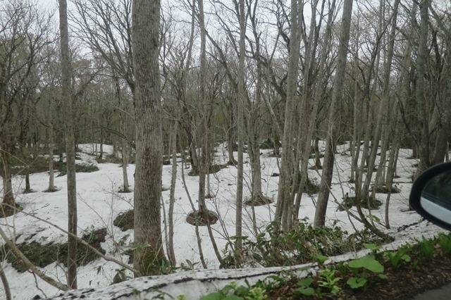f0202151_21174497.jpg