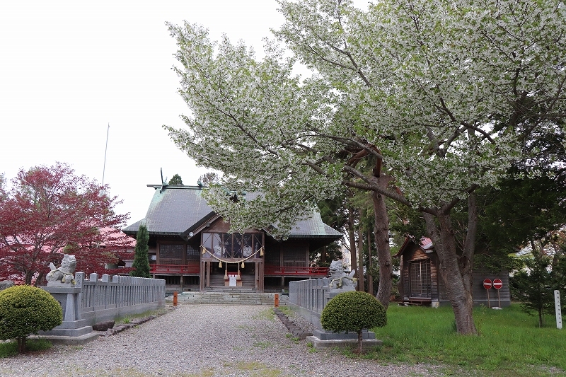 b0250154_20161280.jpg