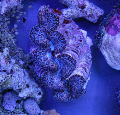 c0165758_00061785.jpg