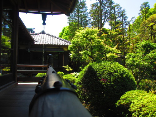 b0309363_10264086.jpg