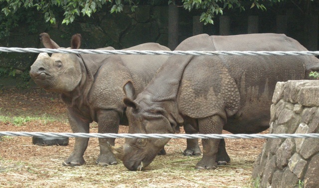 e0266067_23115562.jpg