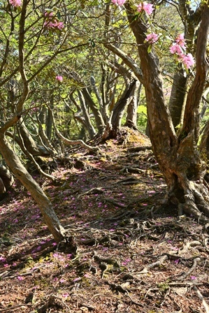 c0303868_07204720.jpg