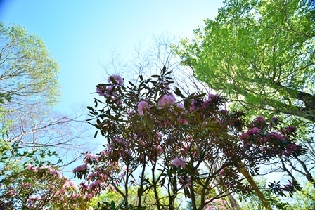 c0303868_07222523.jpg