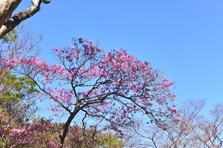 c0303868_07235497.jpg
