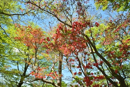 c0303868_07245753.jpg
