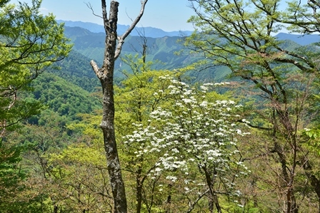 c0303868_07252909.jpg