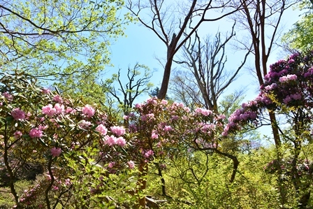 c0303868_09120230.jpg