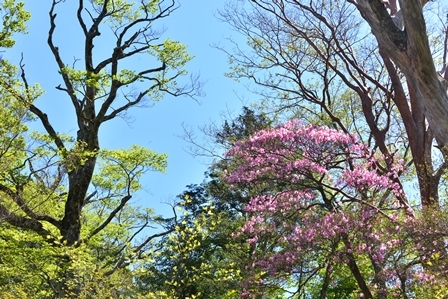 c0303868_09124911.jpg