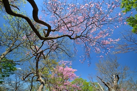 c0303868_09135104.jpg
