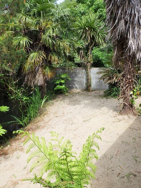 c0105569_01073604.jpg