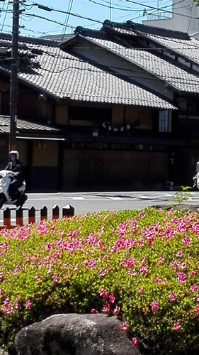 f0144970_994842.jpg