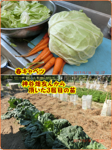 d0007071_20122495.png