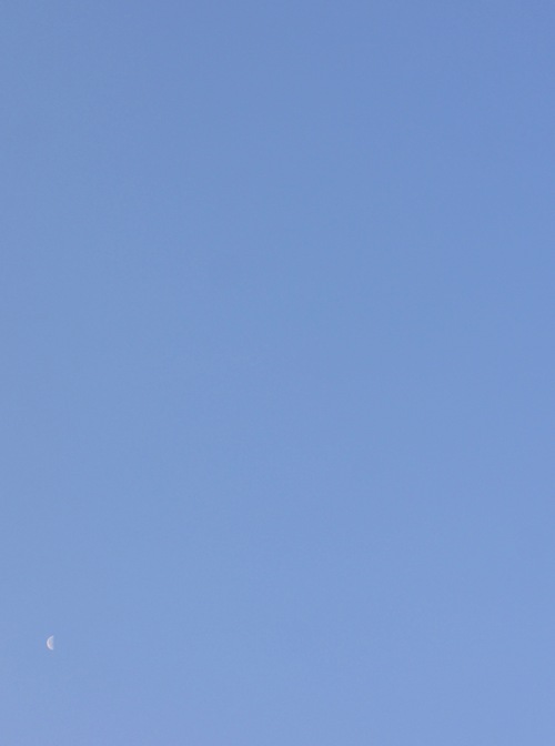 c0169176_7304657.jpg